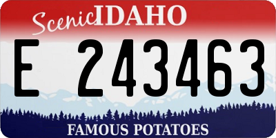 ID license plate E243463