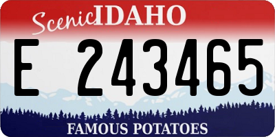 ID license plate E243465