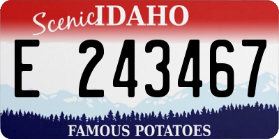 ID license plate E243467