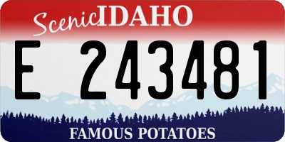 ID license plate E243481