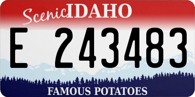 ID license plate E243483