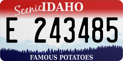 ID license plate E243485