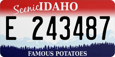 ID license plate E243487