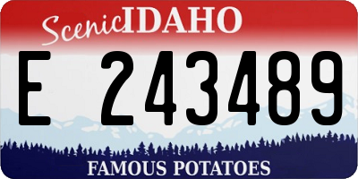ID license plate E243489