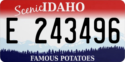 ID license plate E243496