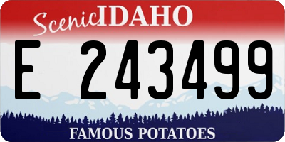 ID license plate E243499