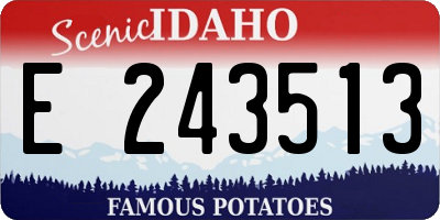 ID license plate E243513