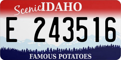 ID license plate E243516