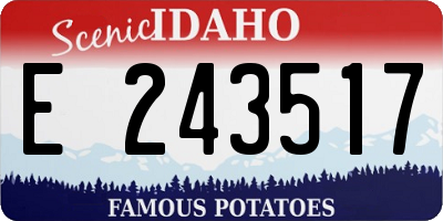 ID license plate E243517