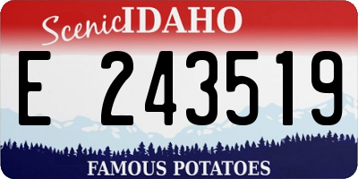 ID license plate E243519