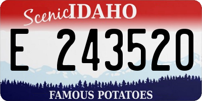 ID license plate E243520