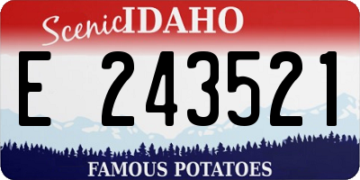 ID license plate E243521