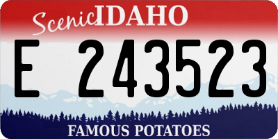 ID license plate E243523