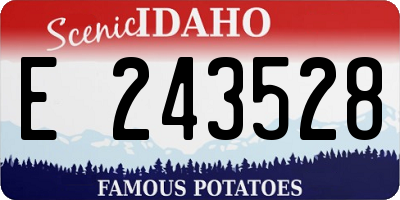 ID license plate E243528