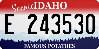 ID license plate E243530