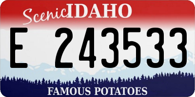ID license plate E243533