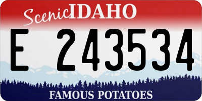 ID license plate E243534