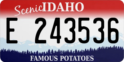 ID license plate E243536