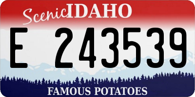 ID license plate E243539
