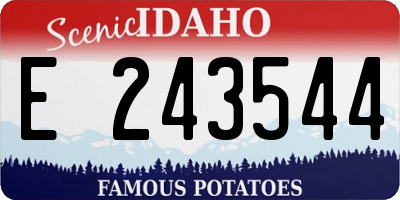 ID license plate E243544