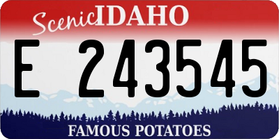 ID license plate E243545