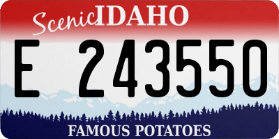 ID license plate E243550