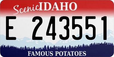 ID license plate E243551