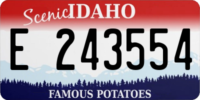 ID license plate E243554