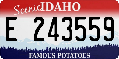 ID license plate E243559