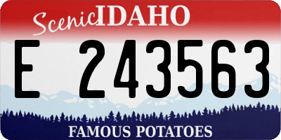 ID license plate E243563
