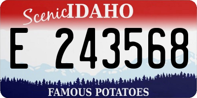 ID license plate E243568