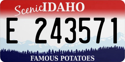 ID license plate E243571