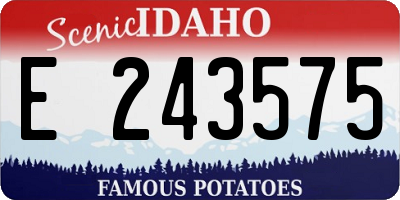 ID license plate E243575