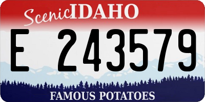 ID license plate E243579