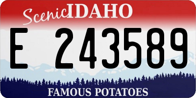 ID license plate E243589
