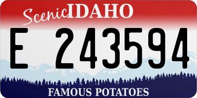 ID license plate E243594