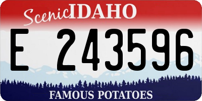ID license plate E243596