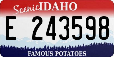 ID license plate E243598