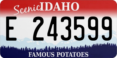 ID license plate E243599