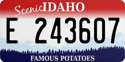 ID license plate E243607