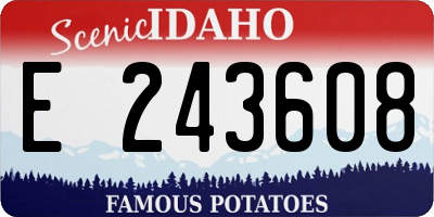ID license plate E243608