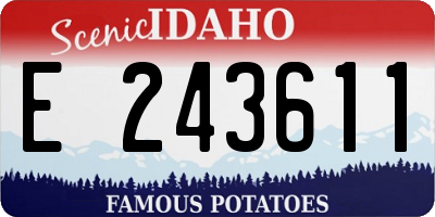 ID license plate E243611