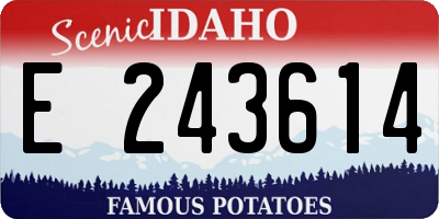 ID license plate E243614