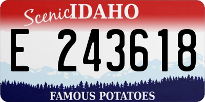 ID license plate E243618