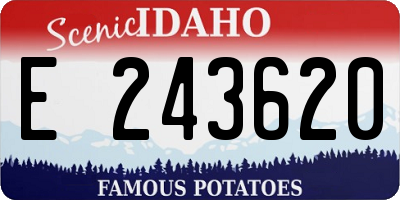 ID license plate E243620