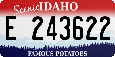 ID license plate E243622