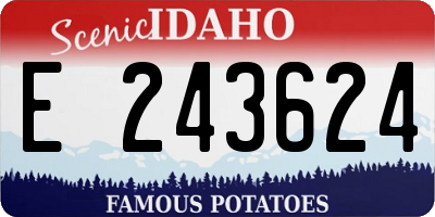 ID license plate E243624