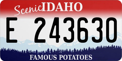ID license plate E243630