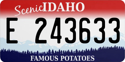 ID license plate E243633