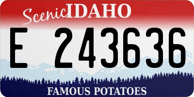 ID license plate E243636